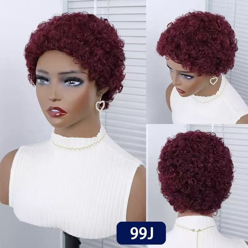 Short Curly Synthetic Hair Wig